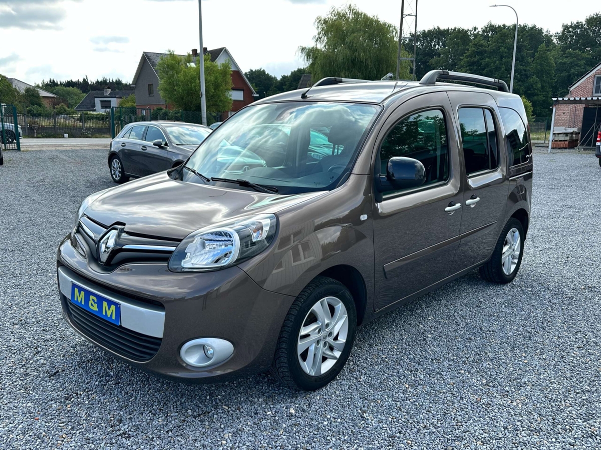 Renault Kangoo Kangoo ENERGY TCe ** Navigatie ** 12 m garantie **